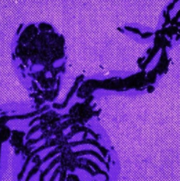 Meet your Posher, Niki - Picture 1 of 1